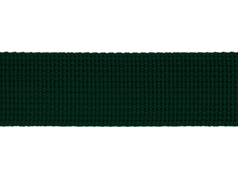 Grosgrain Webbing 25 mm (153) dark green