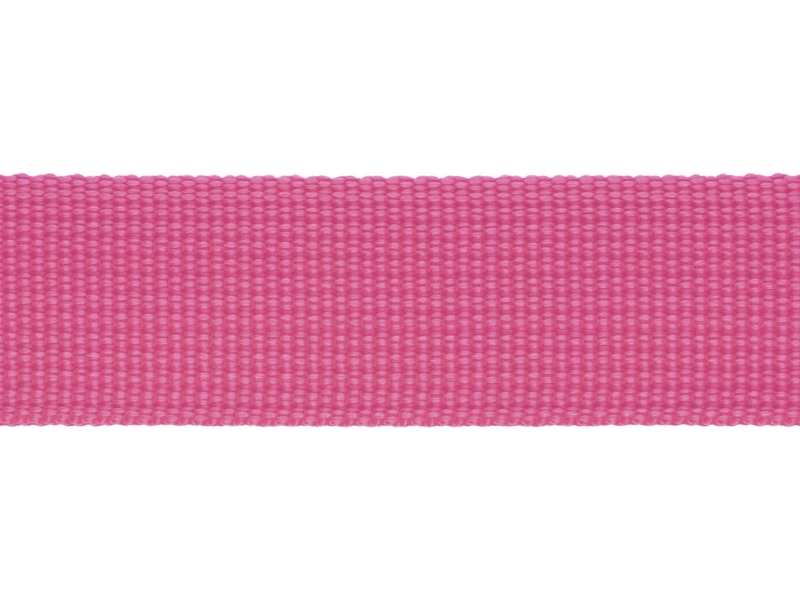 Grosgrain Webbing 25 mm (299) amaranth