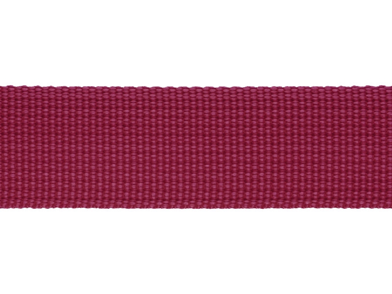 Grosgrain Webbing 25 mm (521) raspberry