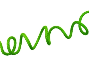 Polyester cord 5,5 mm green (684) EU