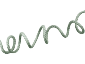 Polyesterkordel 5,5 mm olivgrün (562) EU