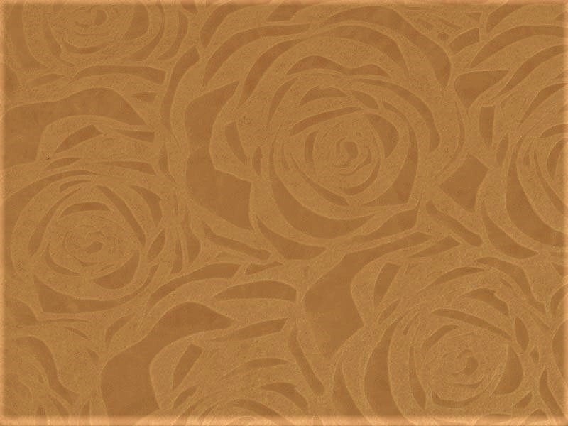 Polypropylen-vliesstoff eu 80 g/m2 Beige 160 cm 1 lm