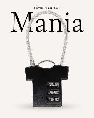 Combination Lock Mania