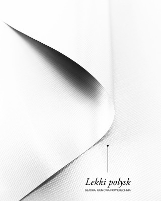 Polyester tarpaulin fabric 380 g/m² (501)  white